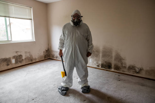 Best Mold Documentation for Insurance Claims  in Bylas, AZ